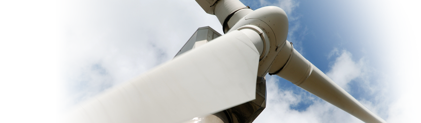 Organic4Greens, Organic Production, Compost, Fertilizer, Plant Booster, How to grow a plant, plant food, natural material, sustrate, soil