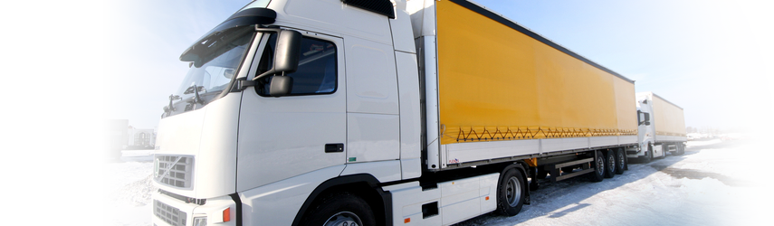 Organic4Greens, Organic Production, Compost, Fertilizer, Plant Booster, How to grow a plant, plant food, natural material, sustrate, soil